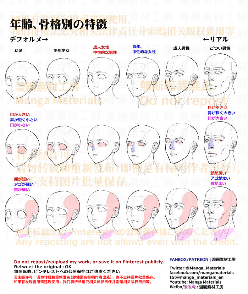 個人メモ：年齢骨格別の顔の特徴