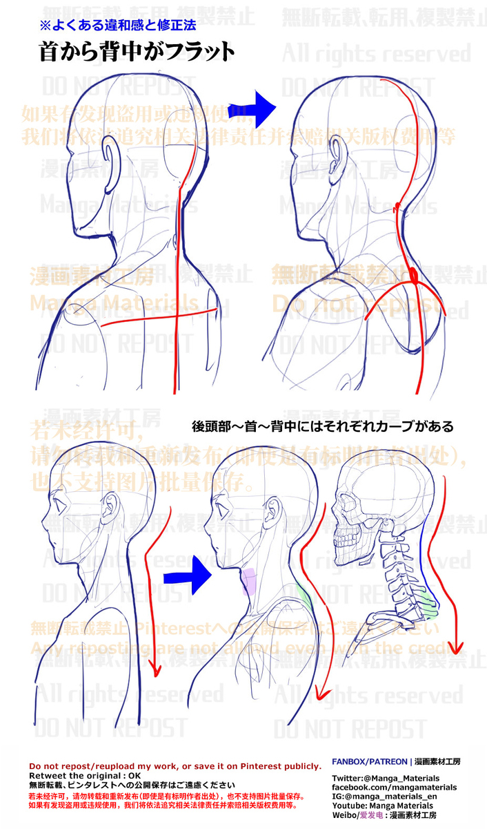 個人メモ：首～背中の凹凸