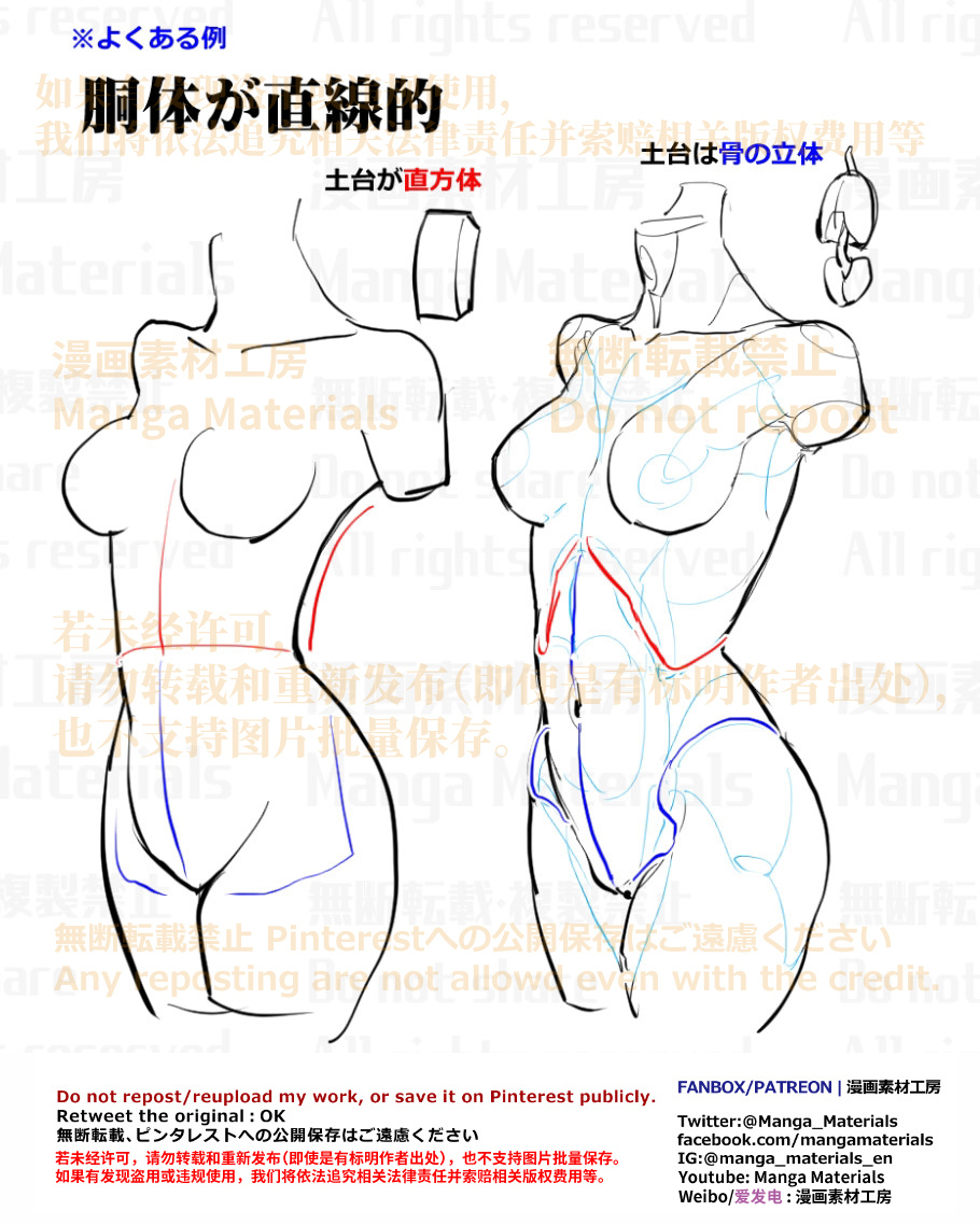 個人メモ：骨格基準の胴体