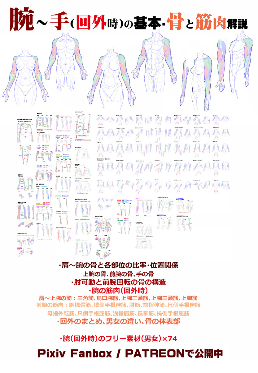 個人メモ：腕のラインと肘周りの凹凸