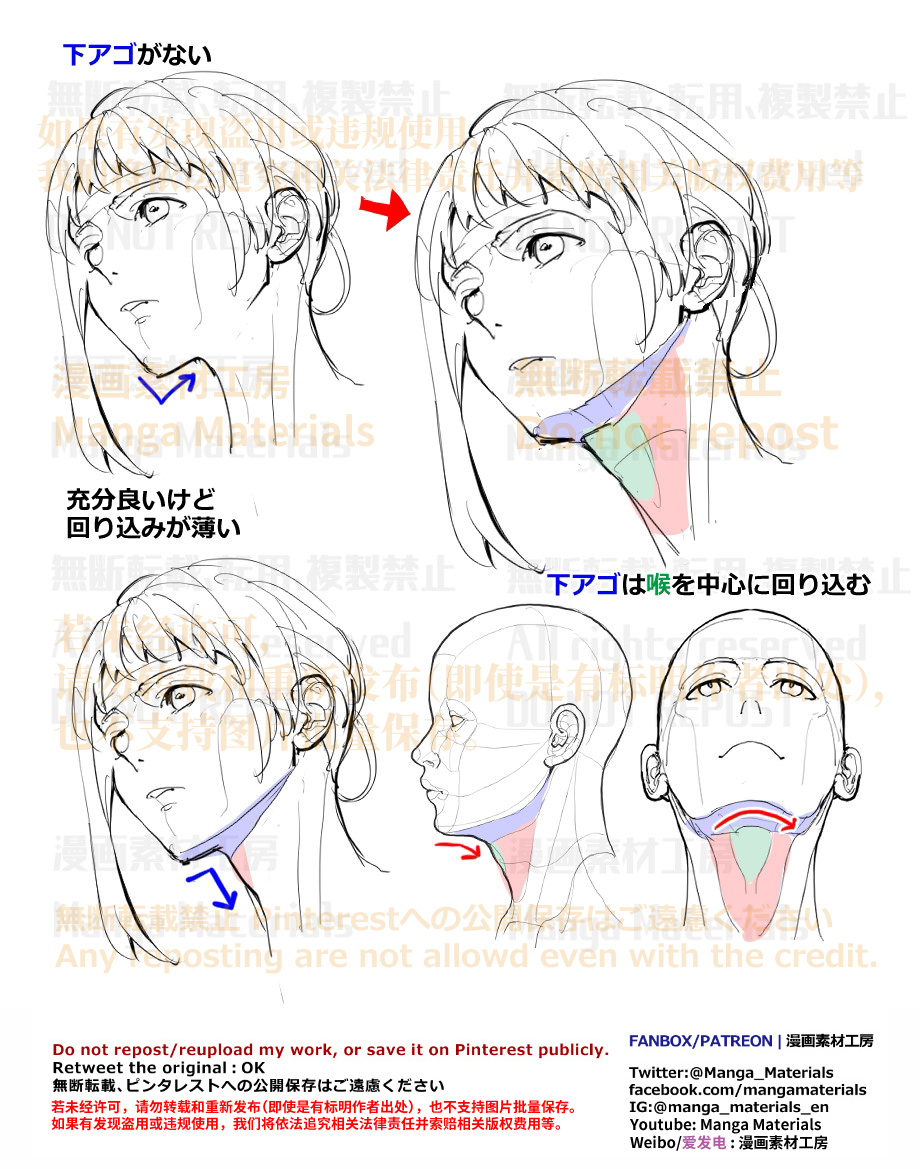 個人メモ：アオリの下アゴ