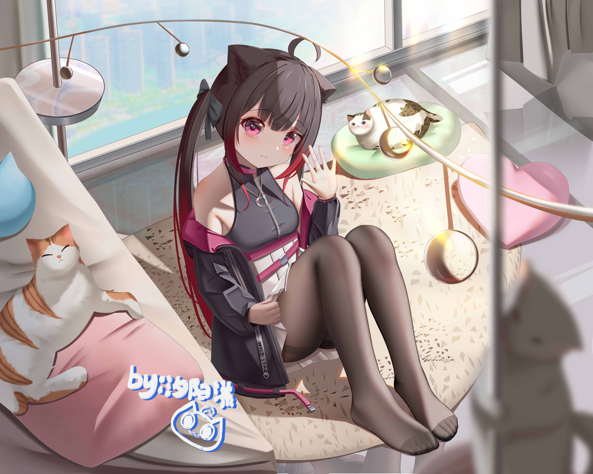 可爱的猫
