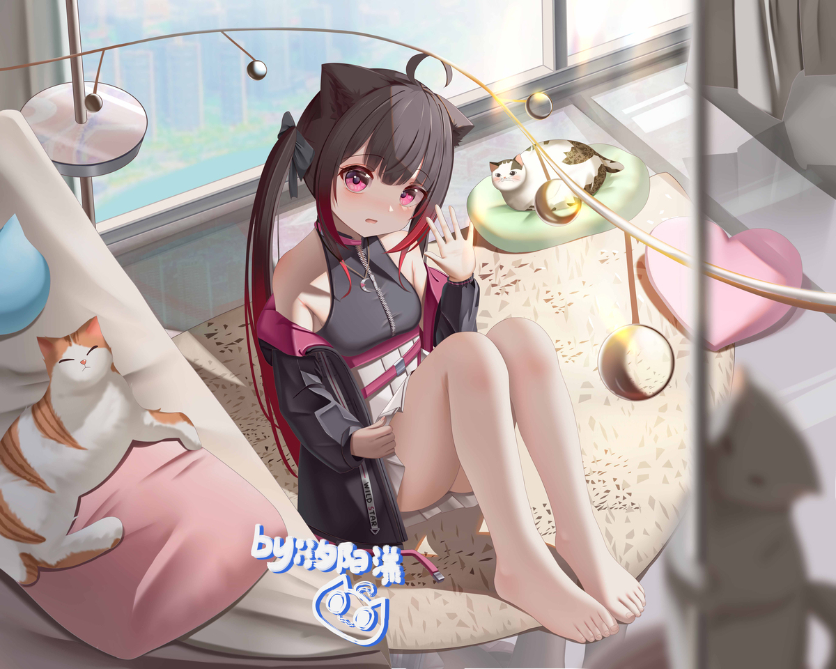 可爱的猫