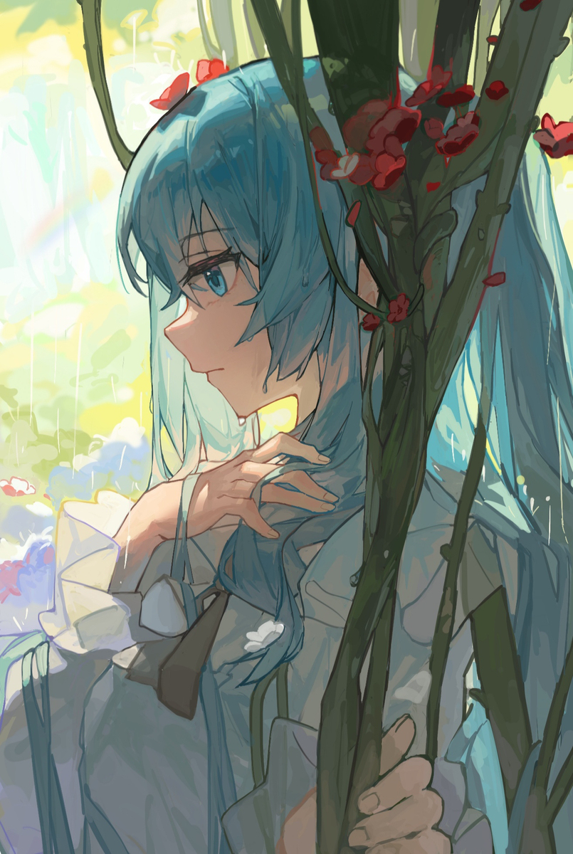 雨(Miku)