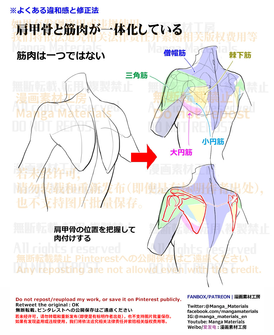 個人メモ：背中・肩甲骨のよくある違和感