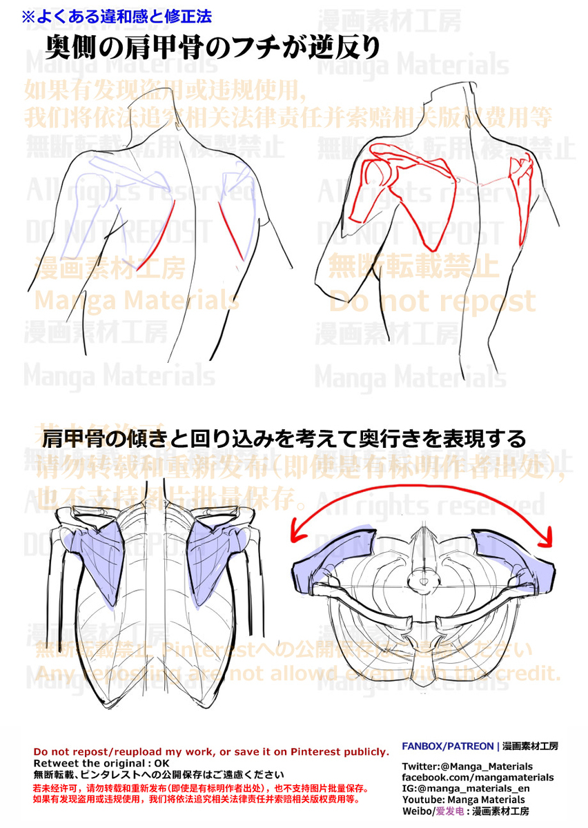 個人メモ：背中・肩甲骨のよくある違和感