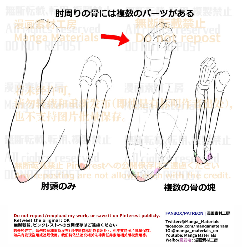 個人メモ：肘周りの骨