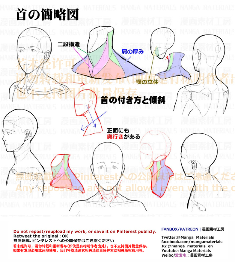 個人メモ：首の付き方