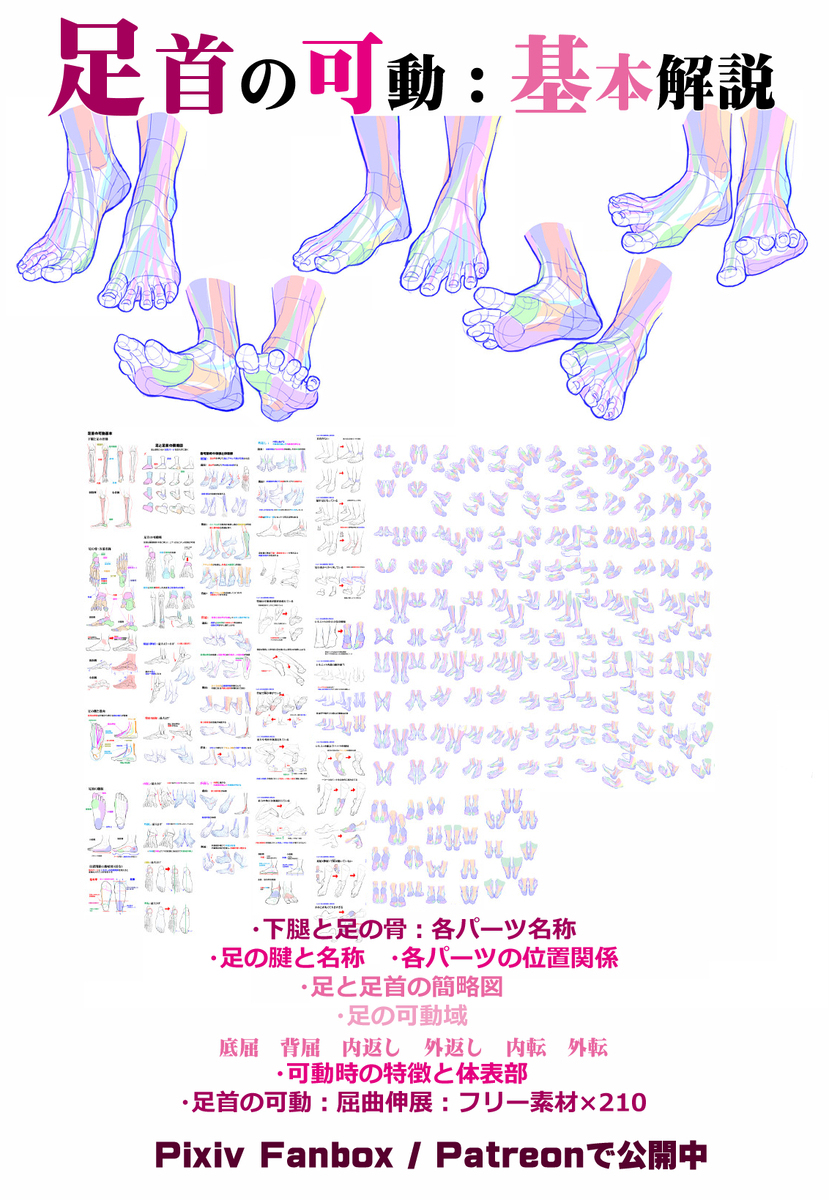個人メモ：足の底屈