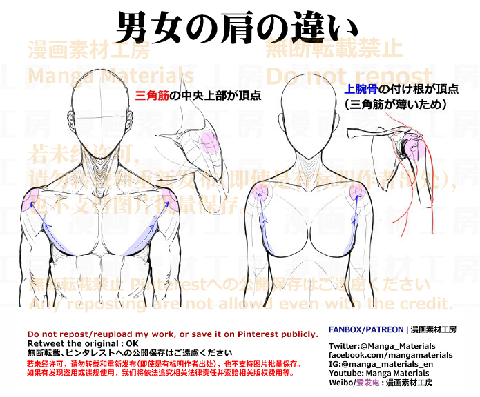 個人メモ：肩