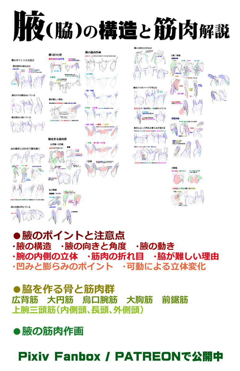 個人メモ：ワキの内部の立体