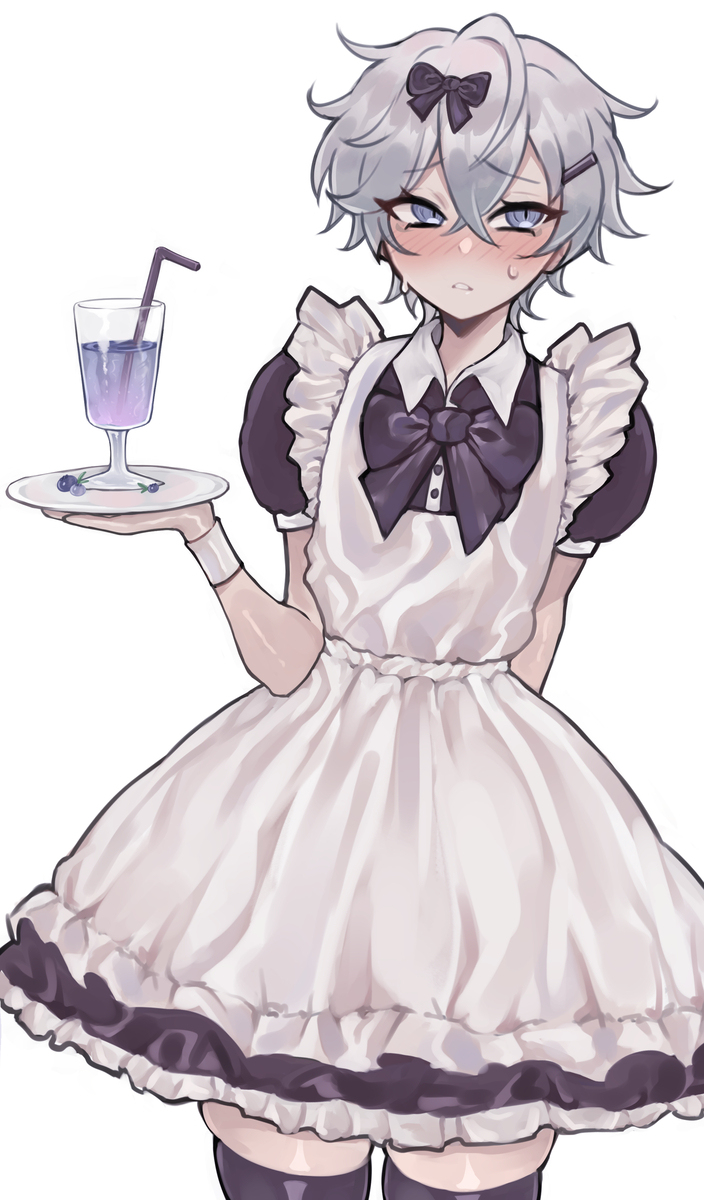 Maid Wise