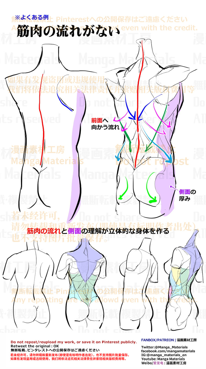 個人メモ：胴体背面の立体感