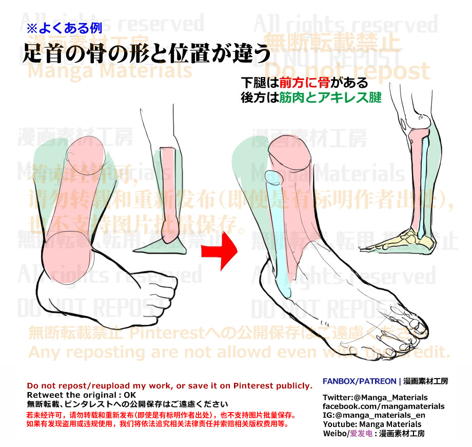 個人メモ：足首の位置と骨の形