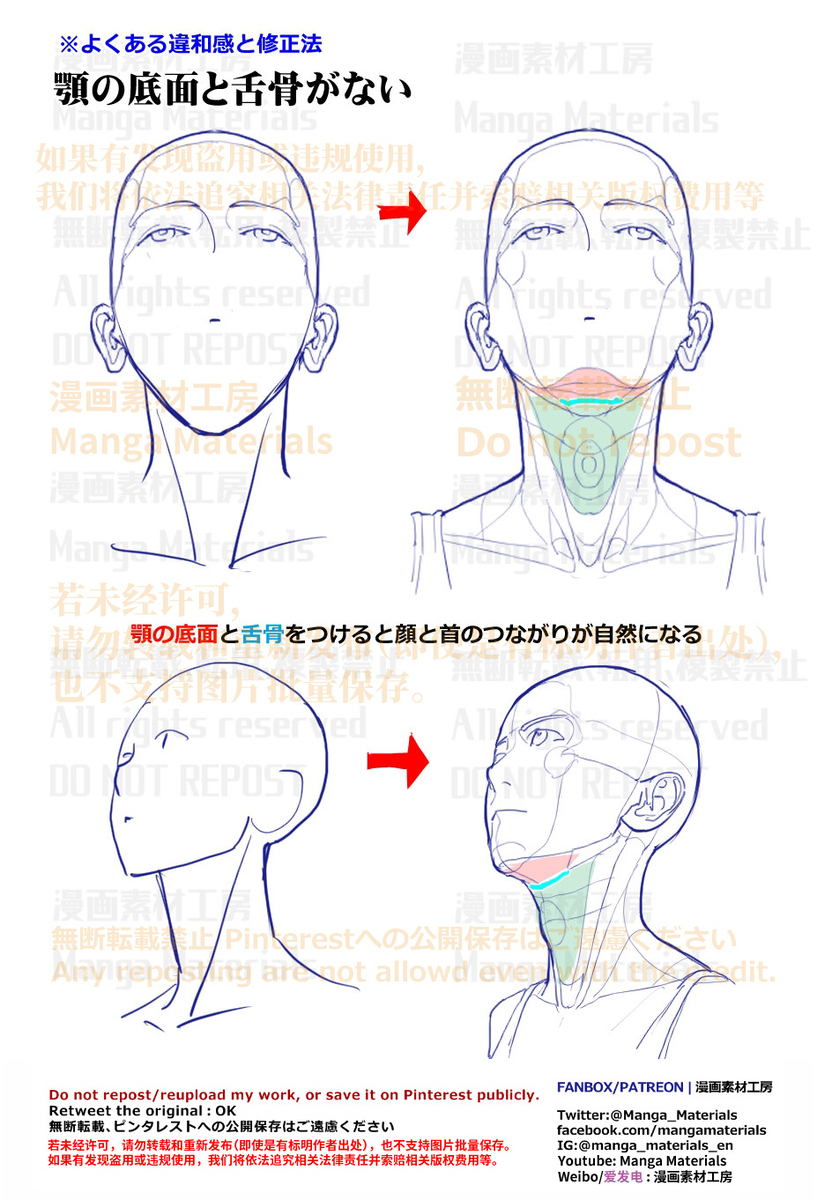 個人メモ：顔と首を繋ぐ顎の底面