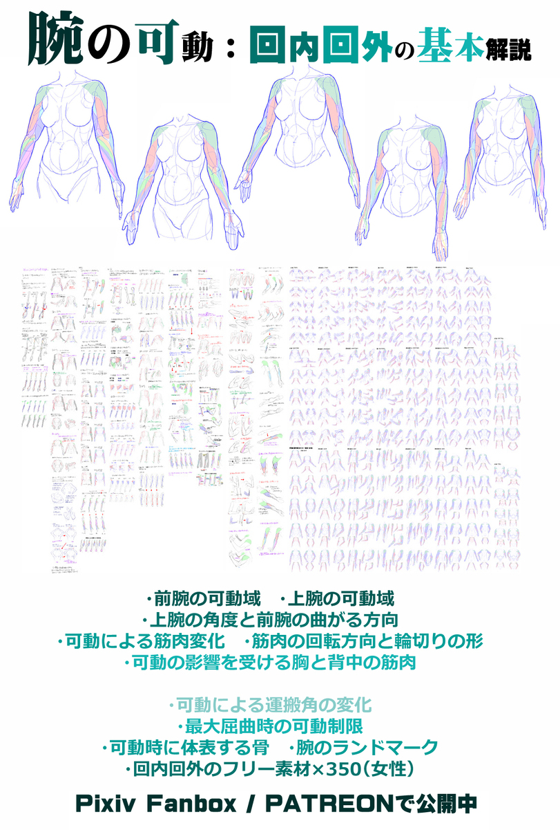 個人メモ：曲げた肘のよくある違和感