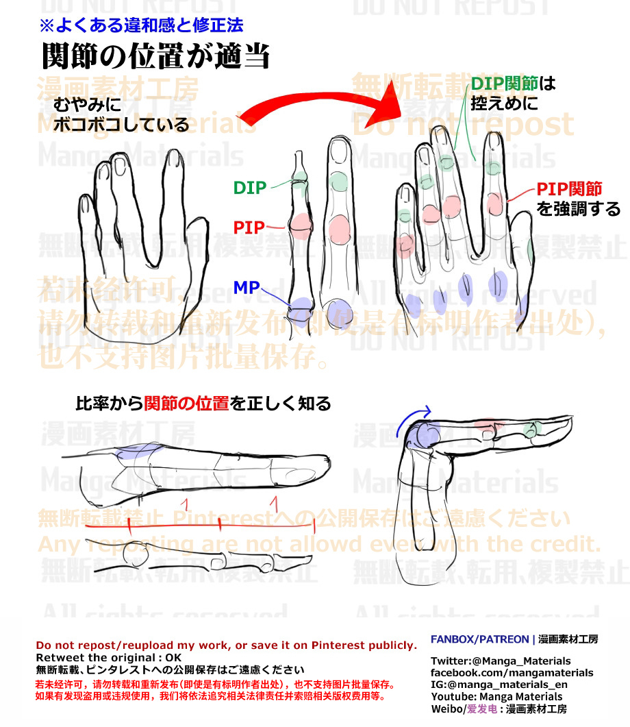 個人メモ：手指の関節