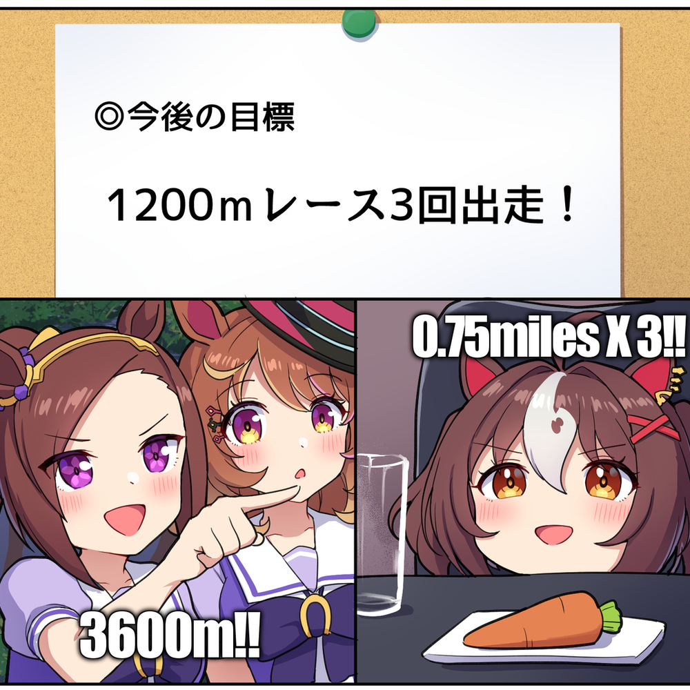 1200mレース3回出走だ！