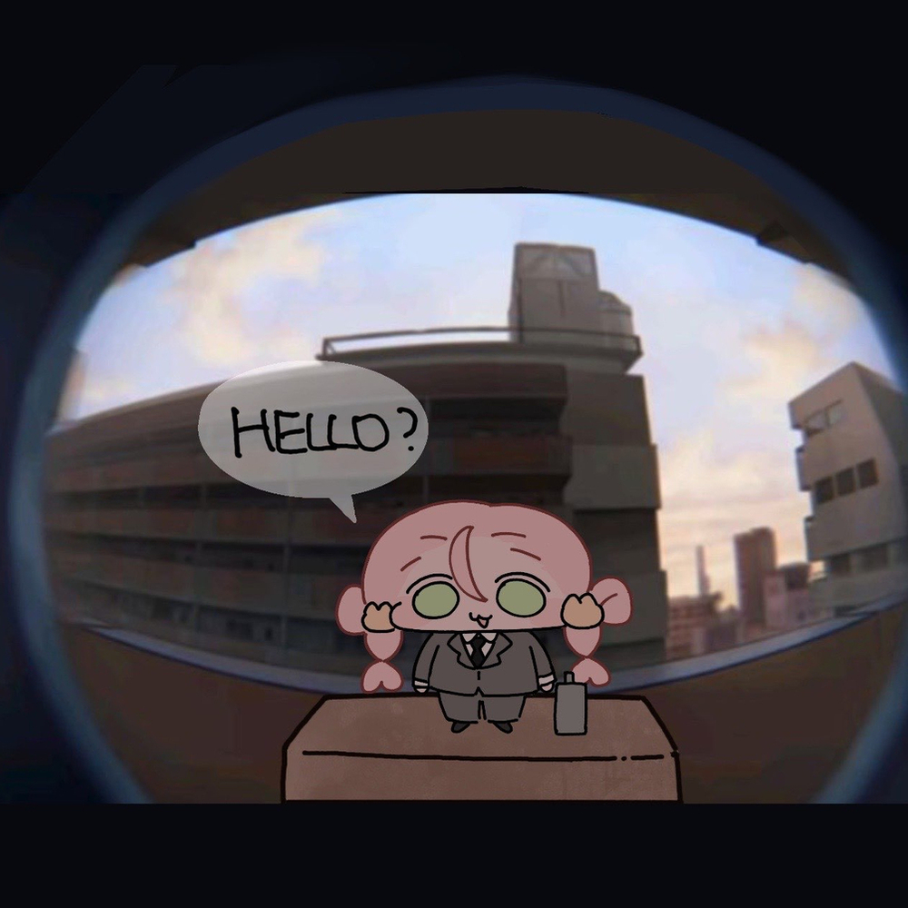 knock knock