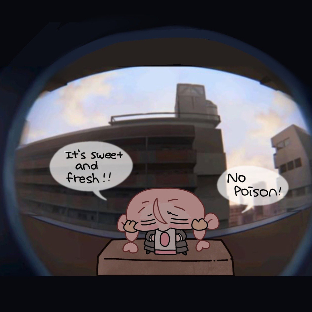 knock knock