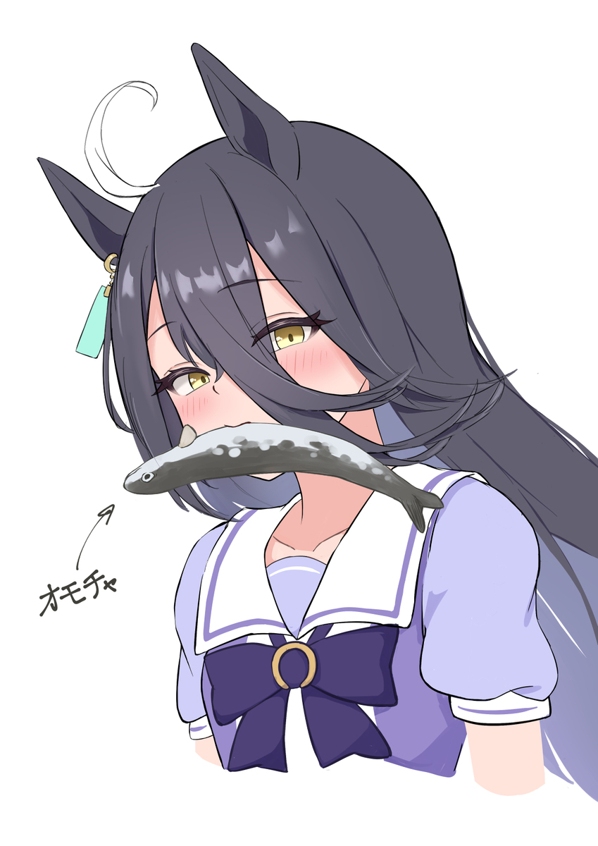猫と魚