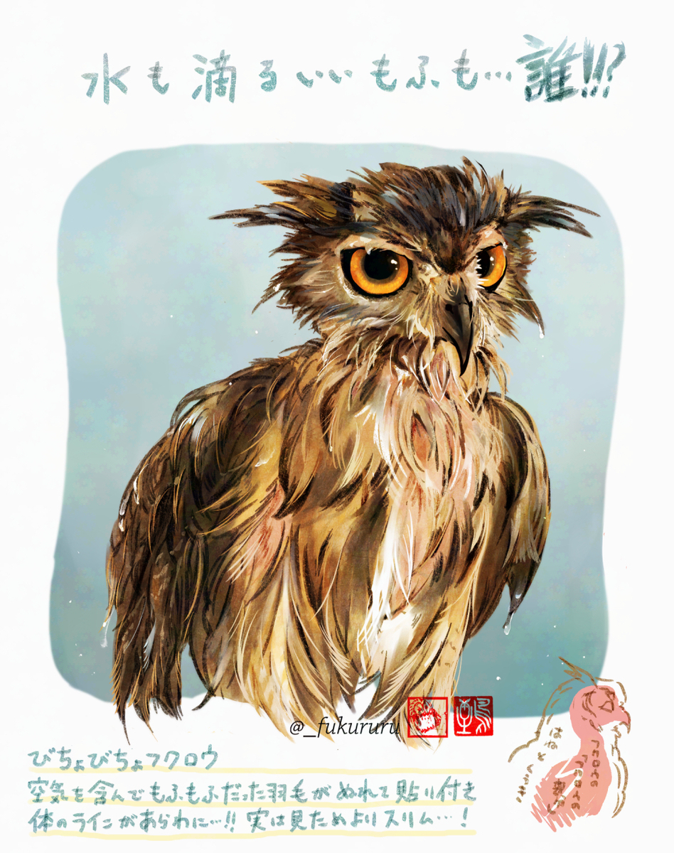 「びちょびちょのフクロウ」