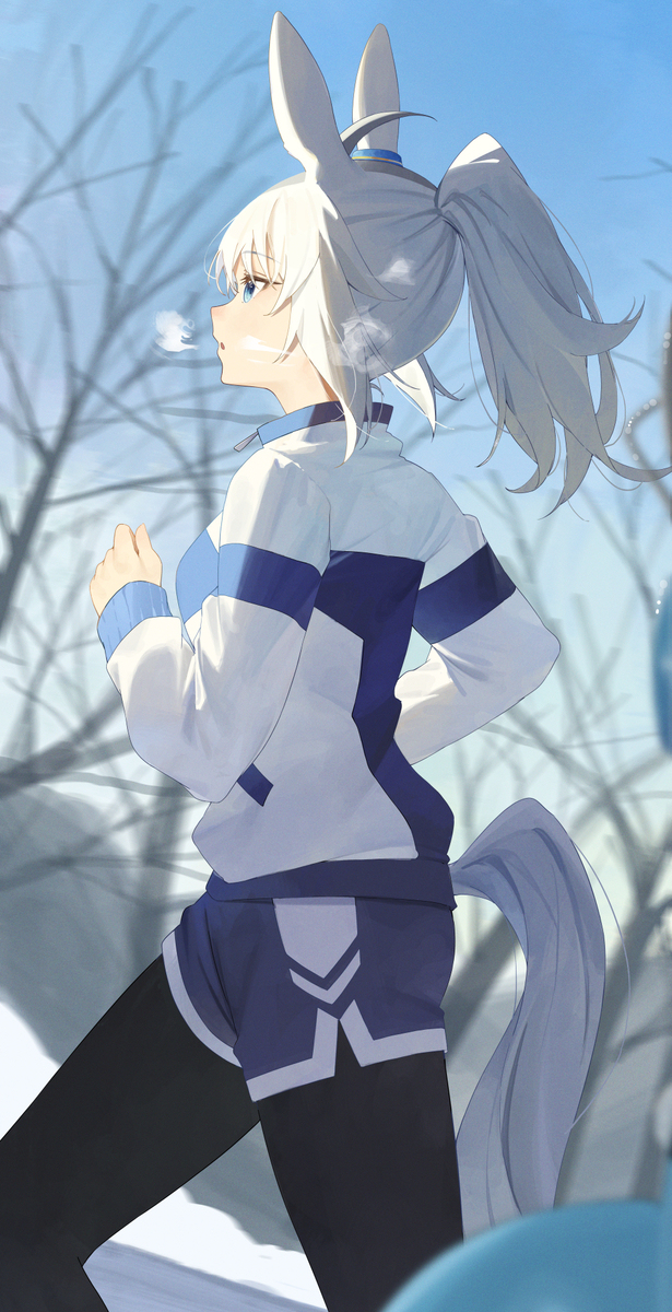 シンデレラグレイ