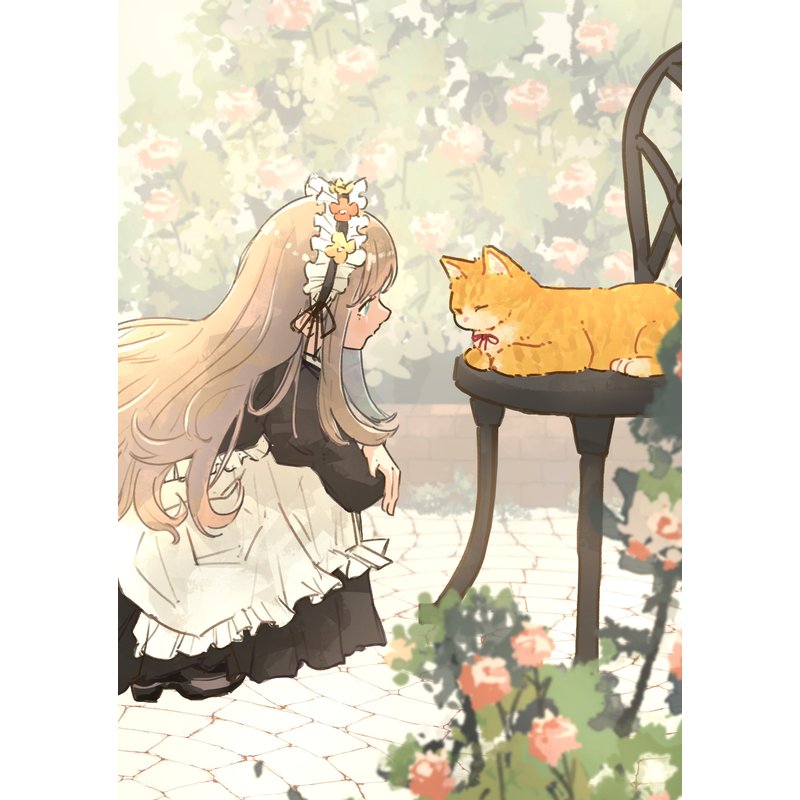 気になる隙間🐈🐾