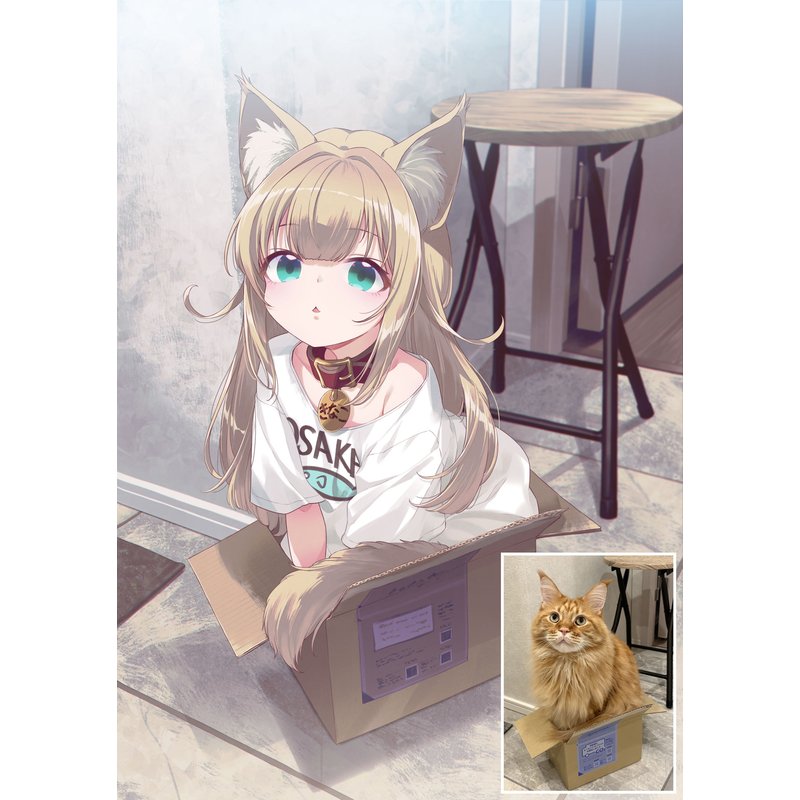 小さなダンボールでも絶対に中に入るうちの猫🐈📦